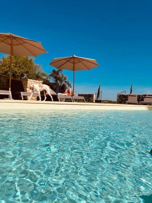 Dome Insolite Cedre Jacuzzi Et Petits Dejeuners Inclus Lagraulet-du-Gers Kültér fotó