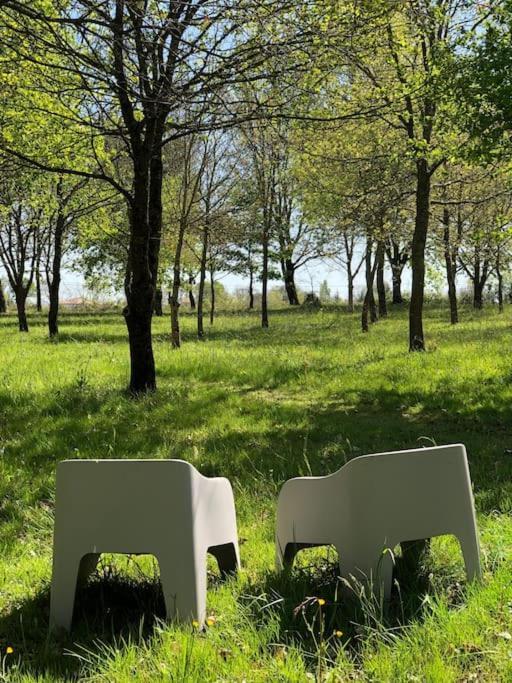 Dome Insolite Cedre Jacuzzi Et Petits Dejeuners Inclus Lagraulet-du-Gers Kültér fotó