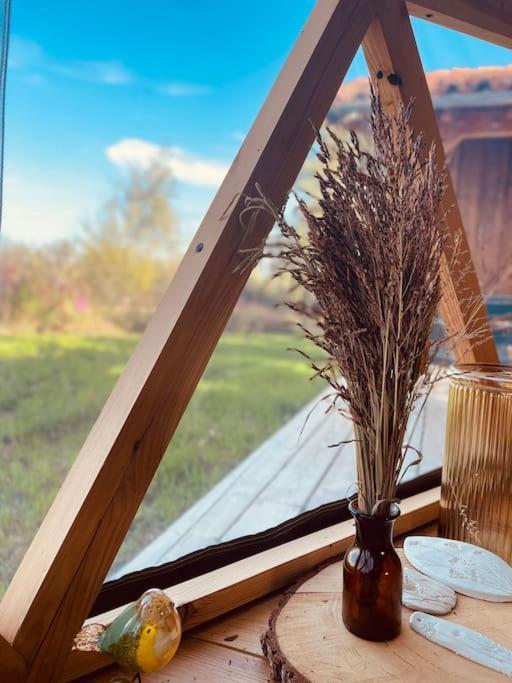 Dome Insolite Cedre Jacuzzi Et Petits Dejeuners Inclus Lagraulet-du-Gers Kültér fotó