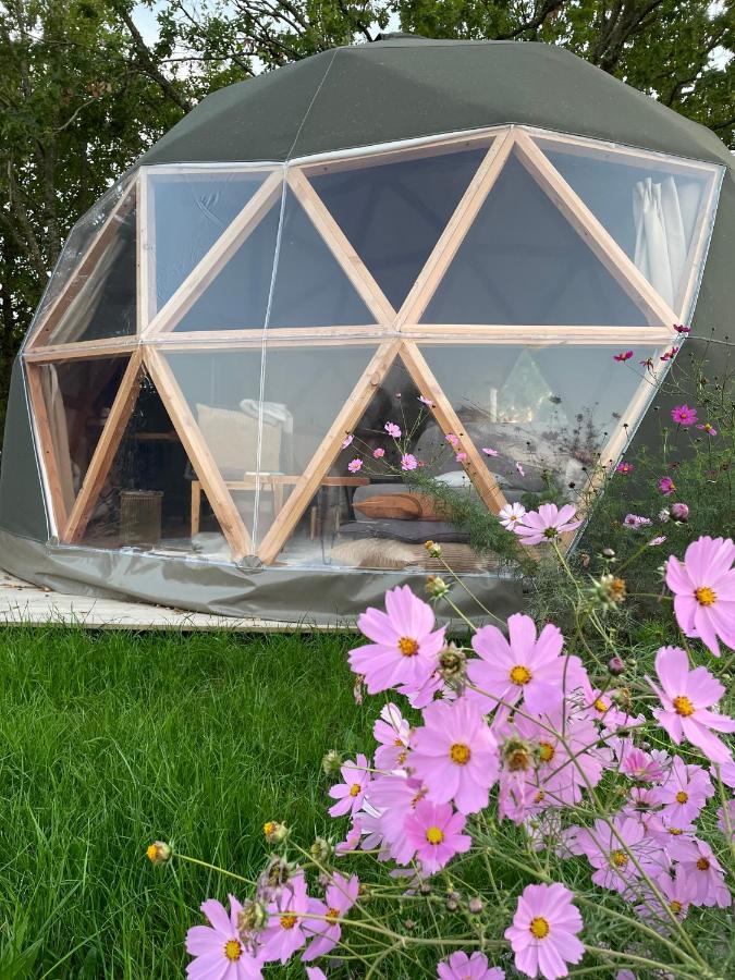 Dome Insolite Cedre Jacuzzi Et Petits Dejeuners Inclus Lagraulet-du-Gers Kültér fotó