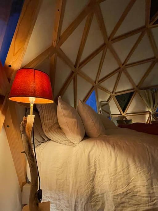 Dome Insolite Cedre Jacuzzi Et Petits Dejeuners Inclus Lagraulet-du-Gers Kültér fotó